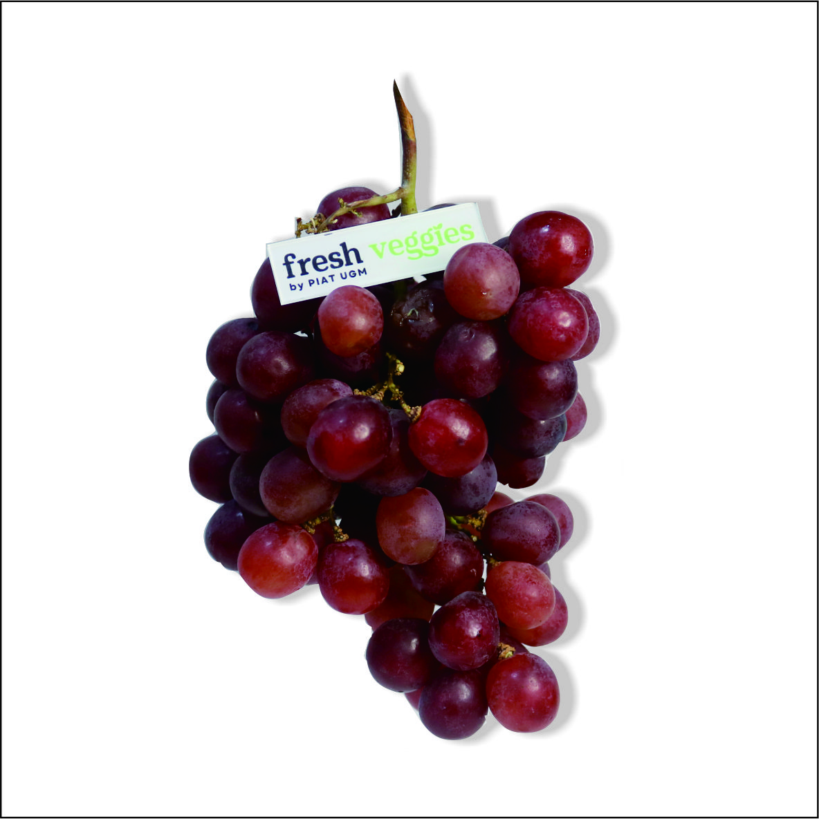 product-pic