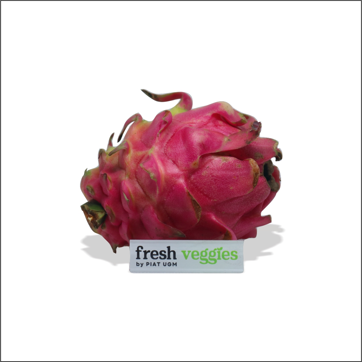 product-pic