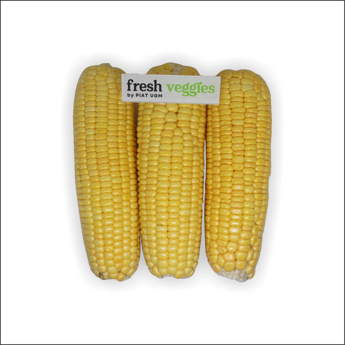 product-pic