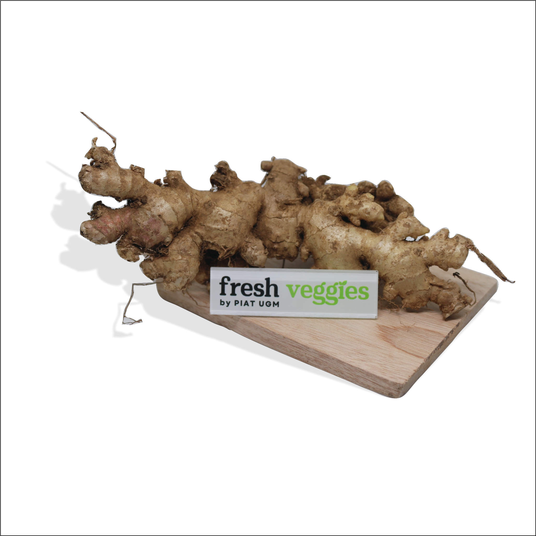 product-pic