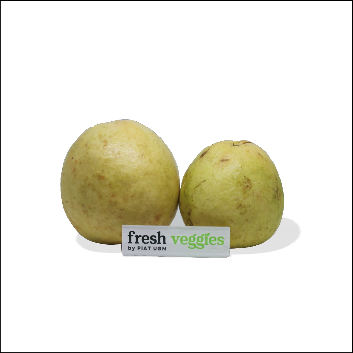 product-pic