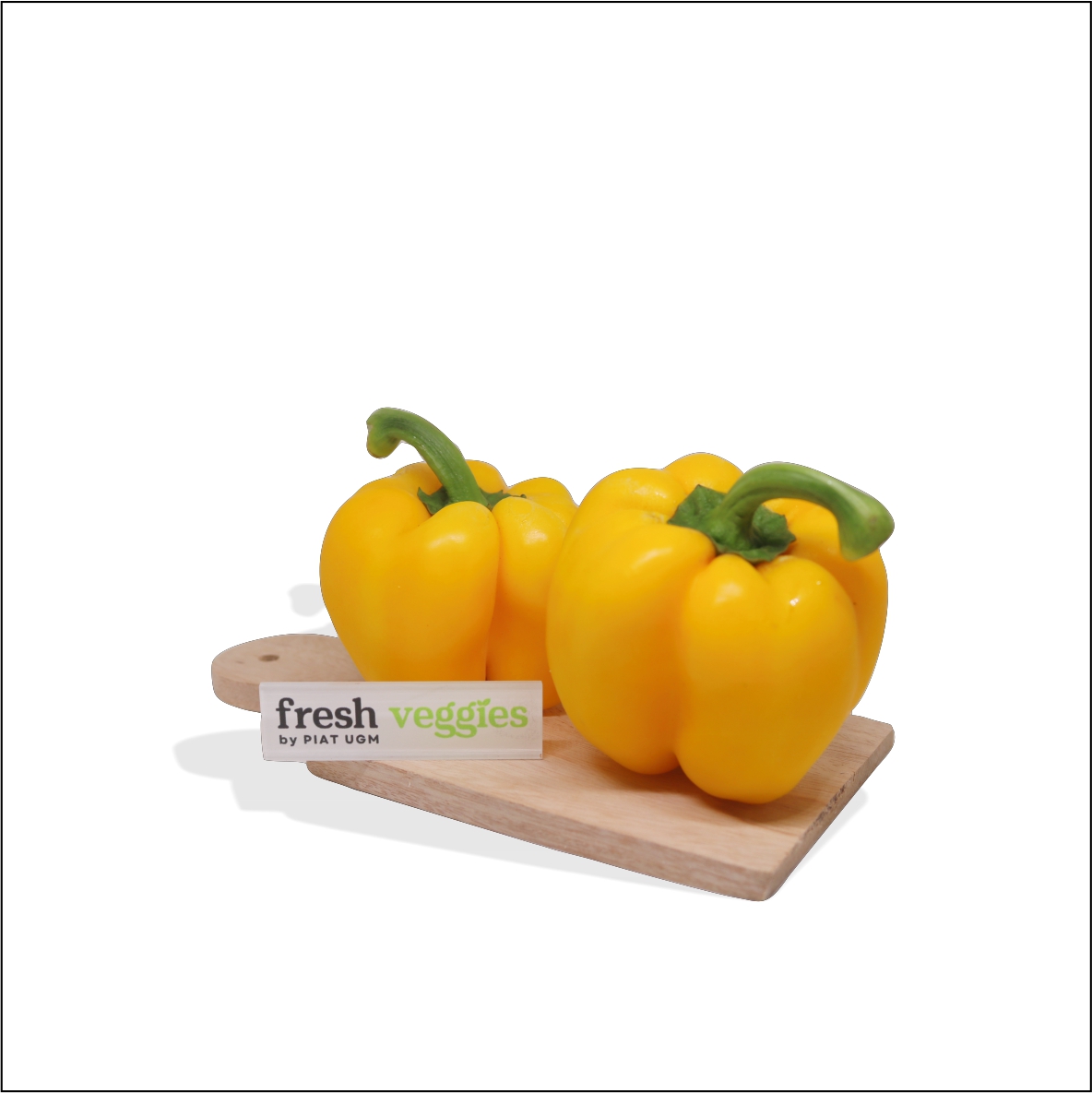 product-pic