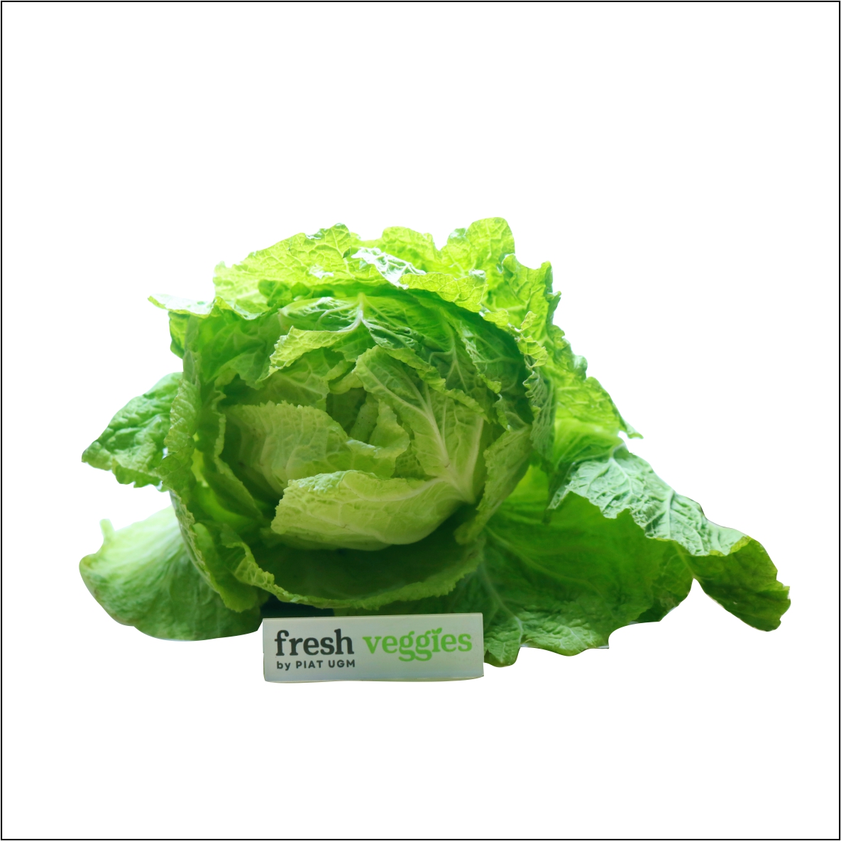 product-pic