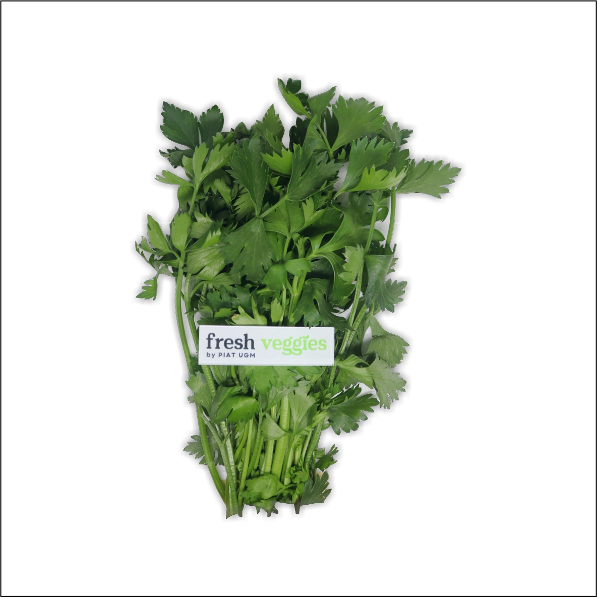 product-pic